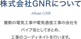 株式会社GNRについて